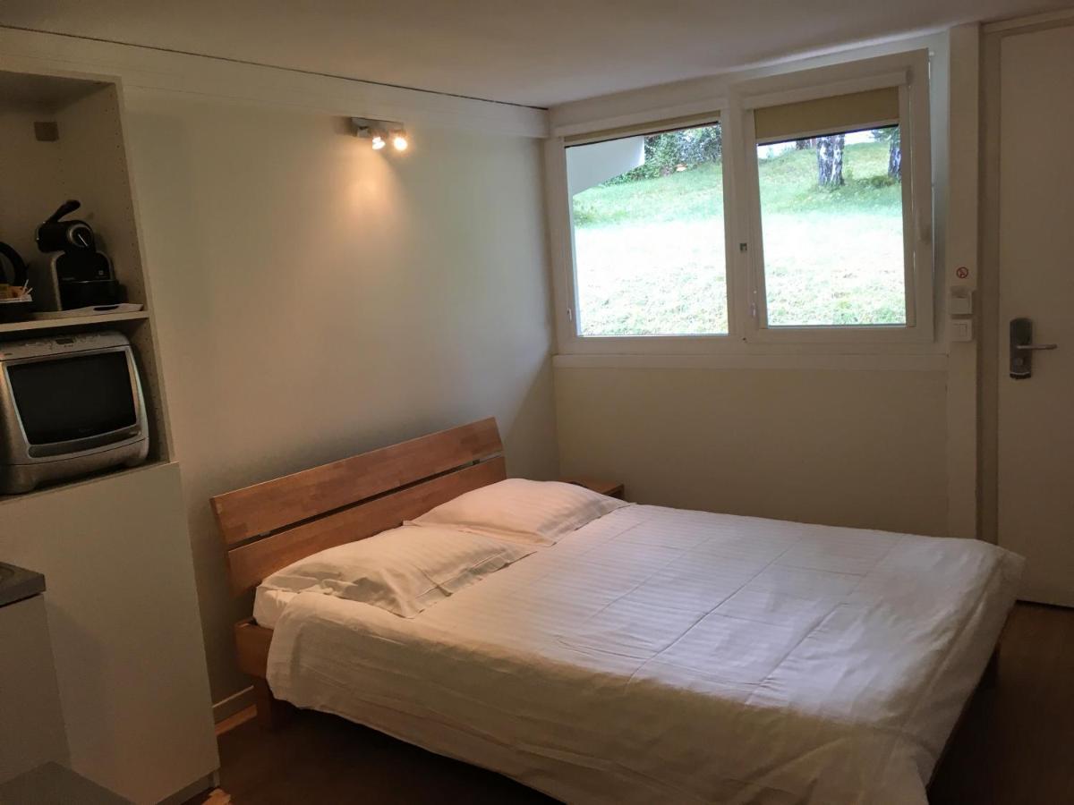 Hotel Pierre Blanche Chatillon-en-Michaille Esterno foto