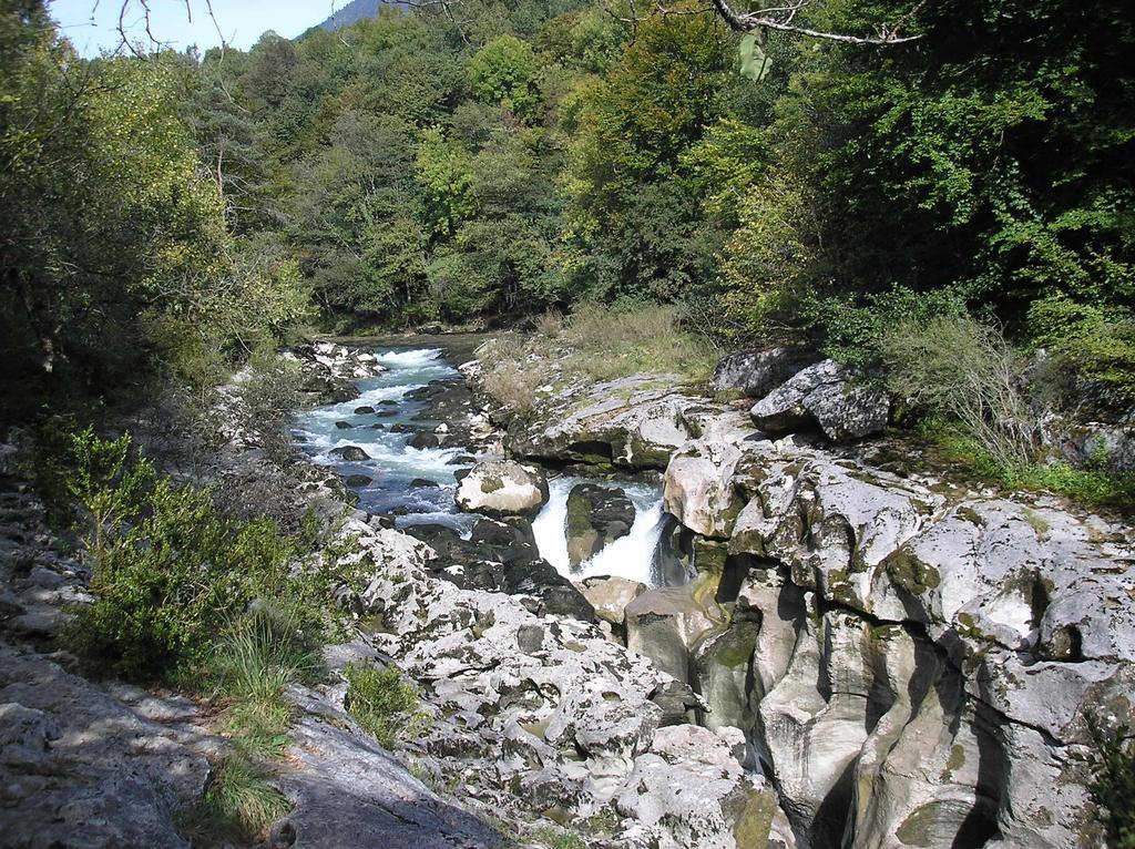 Hotel Pierre Blanche Chatillon-en-Michaille Esterno foto